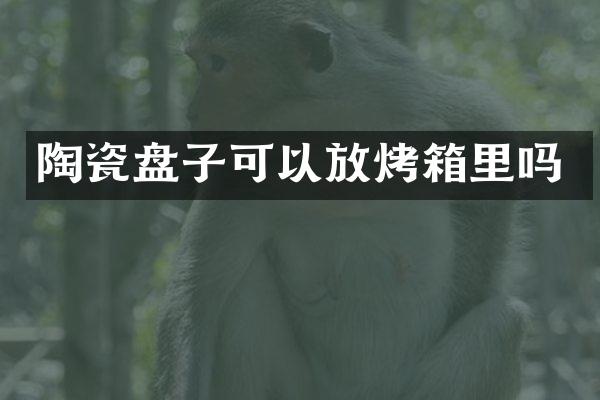 陶瓷盘子可以放烤箱里吗