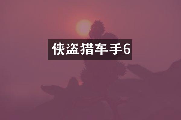 侠盗猎车手6