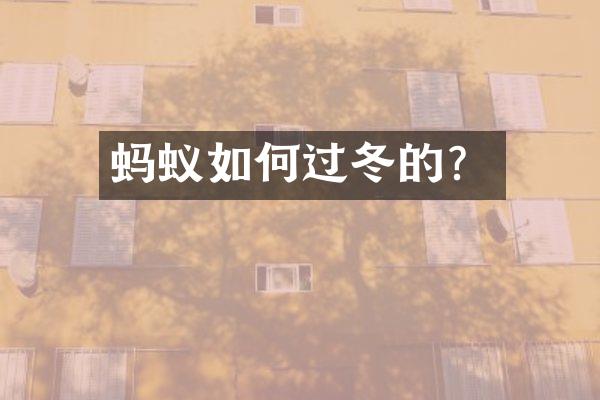 蚂蚁如何过冬的？