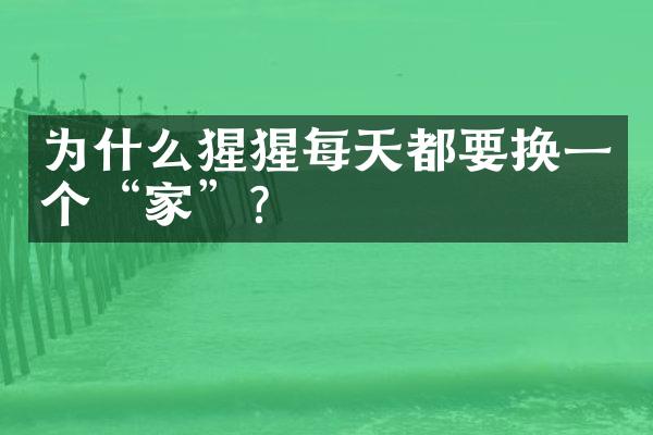 为什么猩猩每天都要换一个“家”？