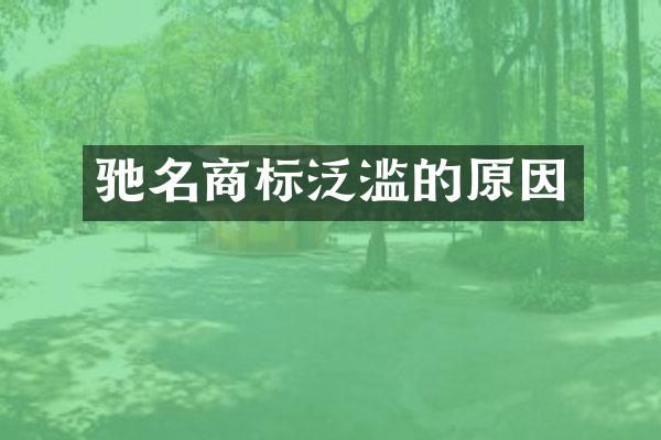驰名商标泛滥的原因