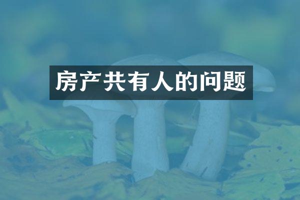 房产共有人的问题