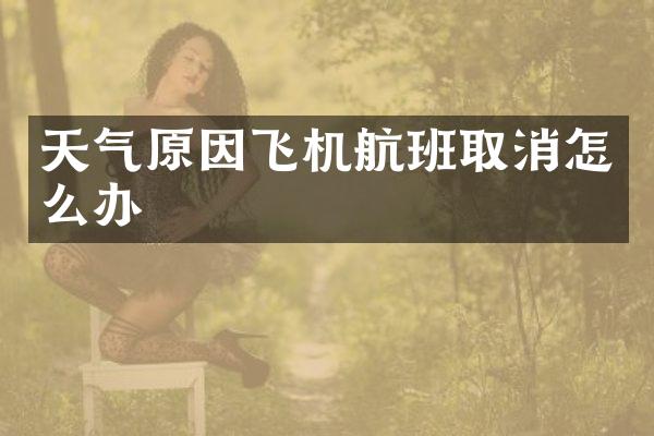 天气原因飞机航班取消怎么办