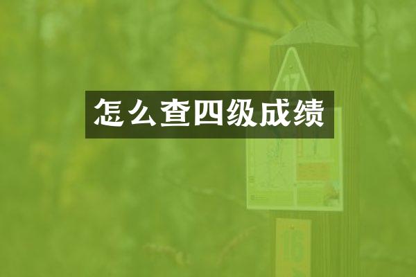怎么查四级成绩