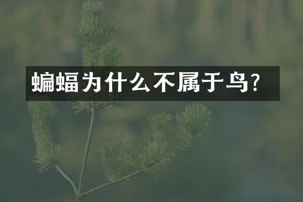 蝙蝠为什么不属于鸟？