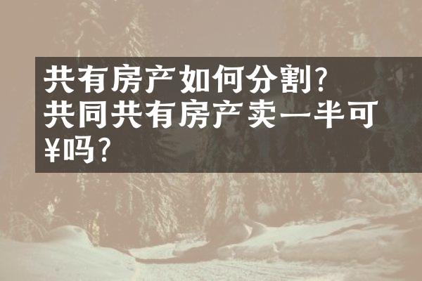 ﻿﻿共有房产如何分割？共同共有房产卖一半可以吗？