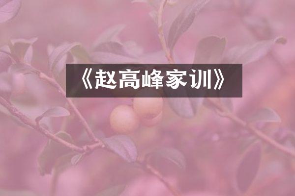 《赵高峰家训》