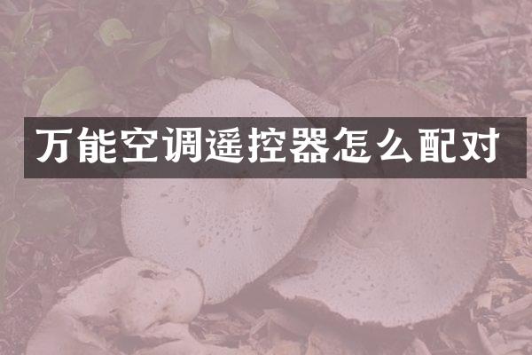 万能空调遥控器怎么配对