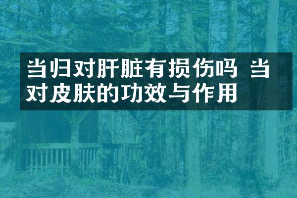 当归对肝脏有损伤吗 当归对皮肤的功效与作用