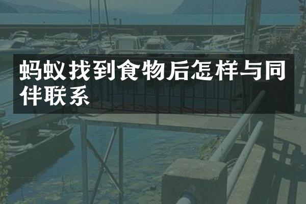 蚂蚁找到食物后怎样与同伴联系