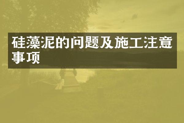 硅藻泥的问题及施工注意事项