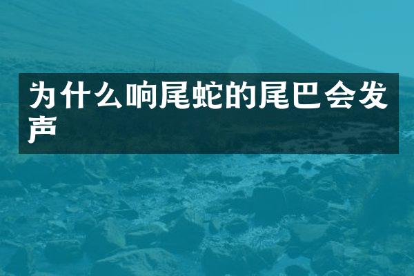 为什么响尾蛇的尾巴会发声