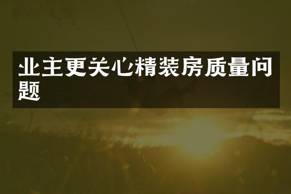 业主更关心精装房质量问题