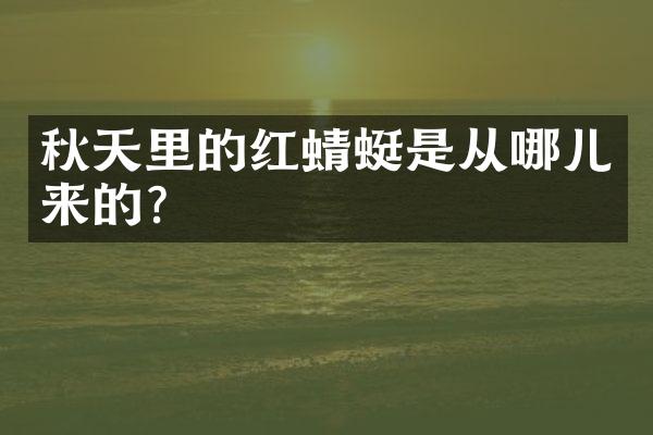 秋天里的红蜻蜓是从哪儿来的？