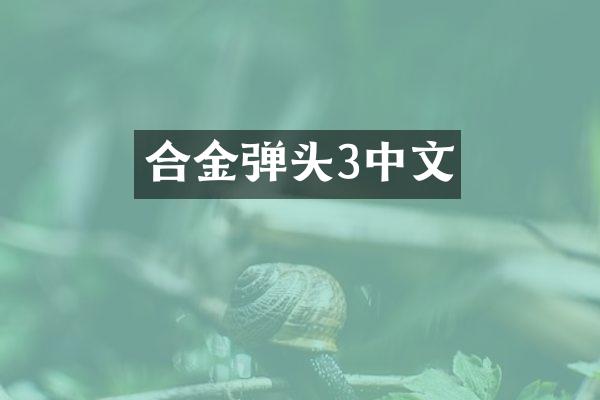合金弹头3中文