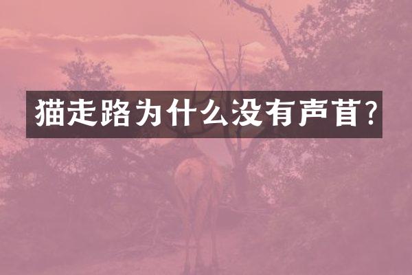 猫走路为什么没有声苜?
