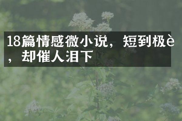 18篇情感微小说，短到极致，却催人泪下