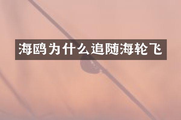 海鸥为什么追随海轮飞