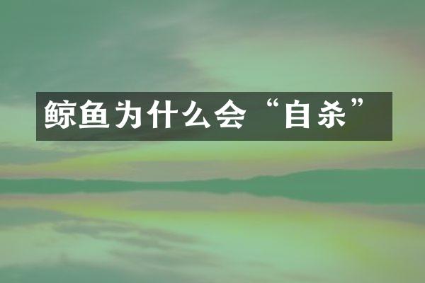 鲸鱼为什么会“自杀”