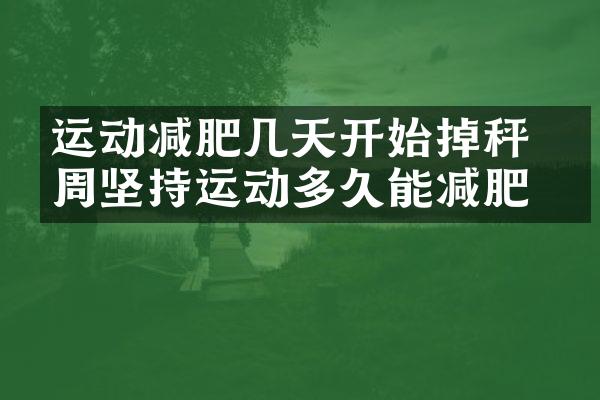 运动减肥几天开始掉秤 每周坚持运动多久能减肥