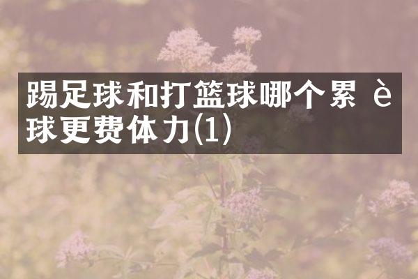 踢足球和打篮球哪个累 足球更费体力(1)