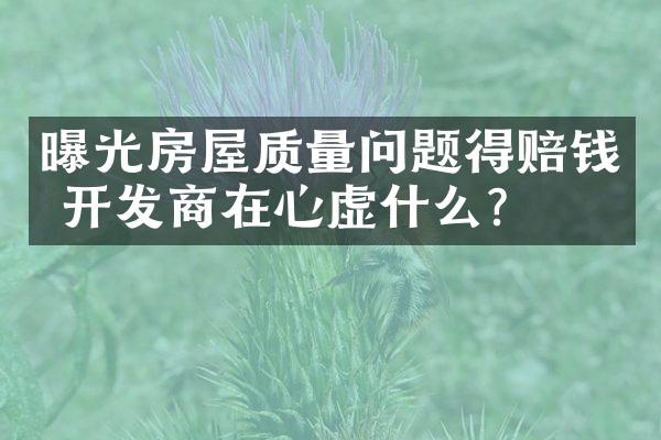 曝光房屋质量问题得赔钱 开发商在心虚什么？