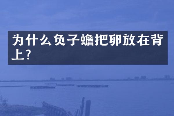 为什么负子蟾把卵放在背上？　
