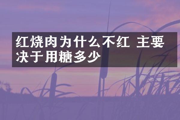 红烧肉为什么不红 主要取决于用糖多少