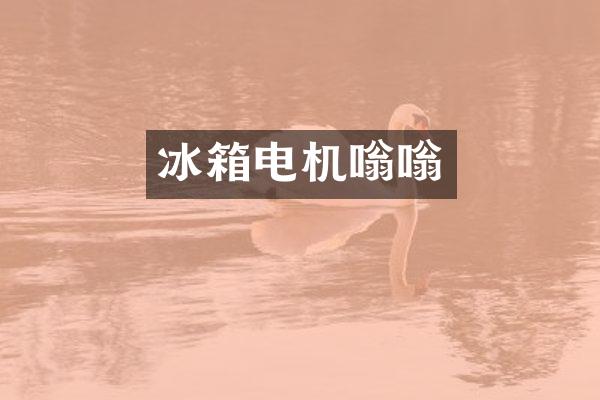 冰箱电机嗡嗡