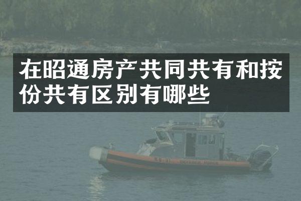 在昭通房产共同共有和按份共有区别有哪些