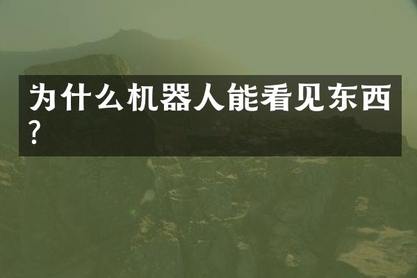 为什么机器人能看见东西？