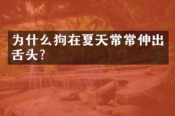 为什么狗在夏天常常伸出舌头?