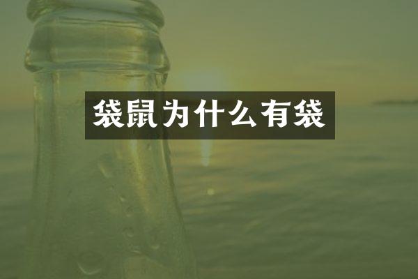 袋鼠为什么有袋