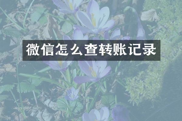 微信怎么查转账记录