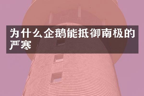 为什么企鹅能抵御南极的严寒