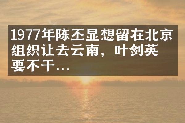1977年陈丕显想留在北京，组织让去云南，叶剑英：要不干...