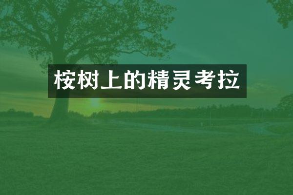 桉树上的精灵考拉