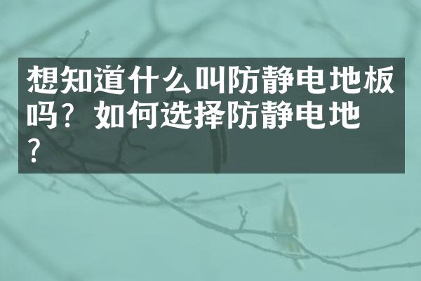 想知道什么叫防静电地板吗？如何选择防静电地板？