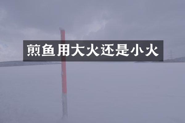 煎鱼用大火还是小火