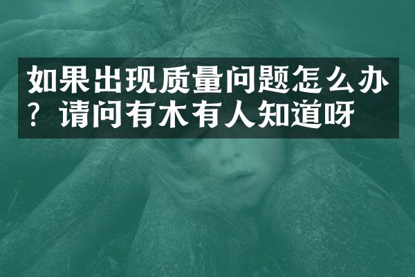 如果出现质量问题怎么办？请问有木有人知道呀？