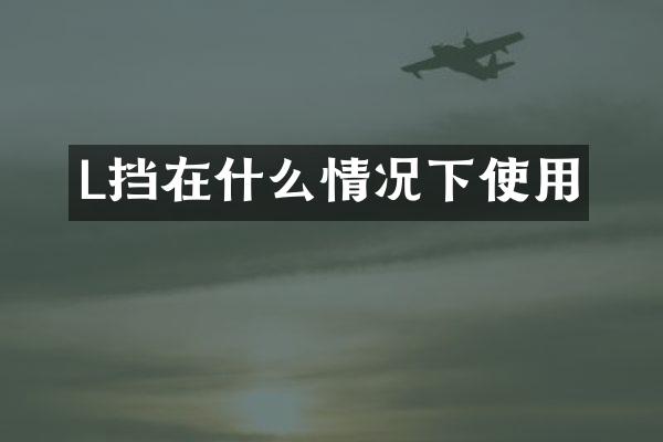 L挡在什么情况下使用
