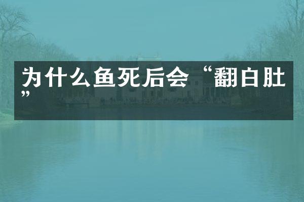 为什么鱼死后会“翻白肚”