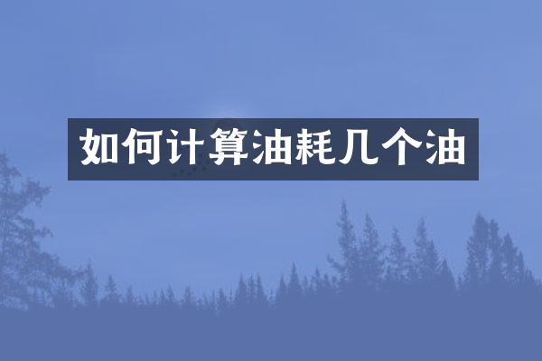 如何计算油耗几个油