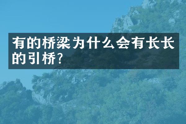 有的桥梁为什么会有长长的引桥？
