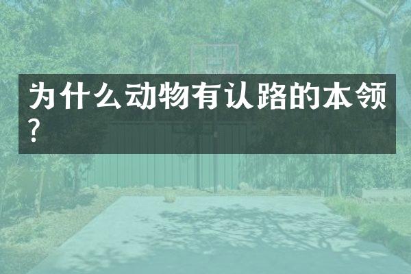 为什么动物有认路的本领？