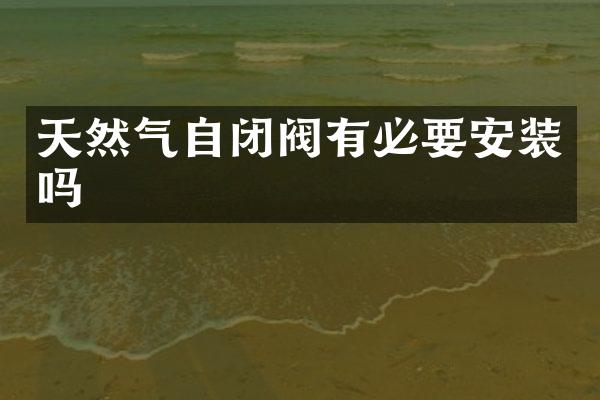 天然气自闭阀有必要安装吗