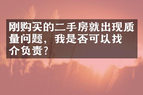 刚购买的二手房就出现质量问题，我是否可以找中介负责？