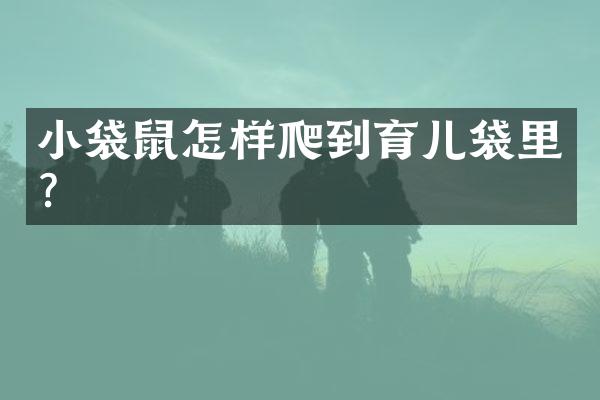 小袋鼠怎样爬到育儿袋里？