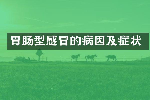 胃肠型感冒的病因及症状