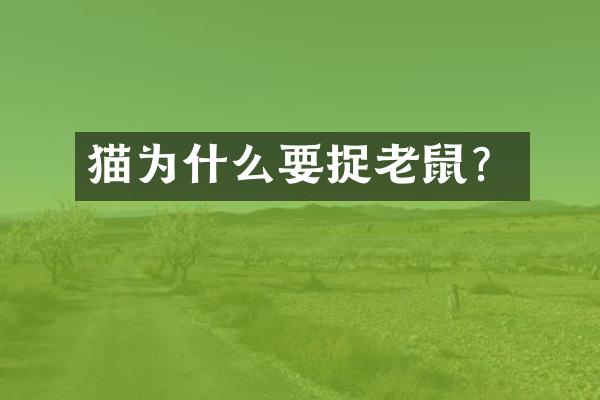 猫为什么要捉老鼠？